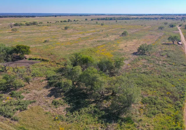 Homes for sale in Jacksboro, TX | 1696 Acres 199 Hwy, Jacksboro, TX 76458 | MLS# 21228384