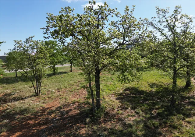 Photo 3 of Land for sale at 101 Overlook Dr, Cisco, TX 76437 | MLS# 21228250 | Listing updated on 2026-08-21