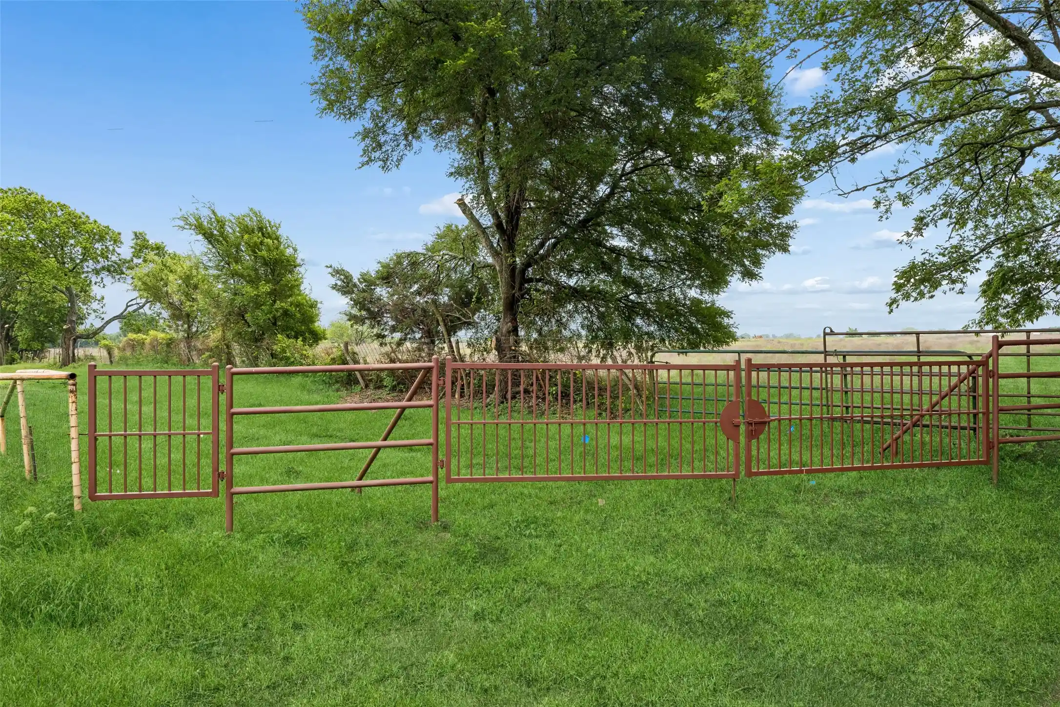 Photo 1 of Land for sale at 4130 County Road 4130, Bonham, TX 75418 | MLS# 21192093 | Listing updated on 2026-04-25