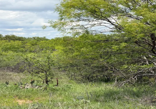 Photo 2 of Land for sale at 000 County Road 149, Brownwood, TX 76801 | MLS# 21224372 | Listing updated on 2026-06-03