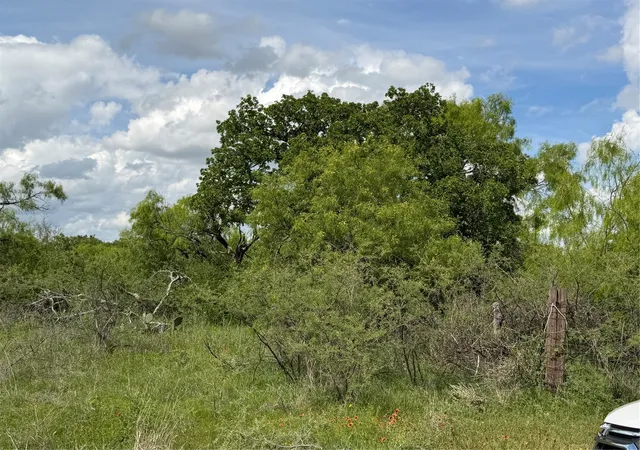 Photo 3 of Land for sale at 000 County Road 149, Brownwood, TX 76801 | MLS# 21224372 | Listing updated on 2026-06-03