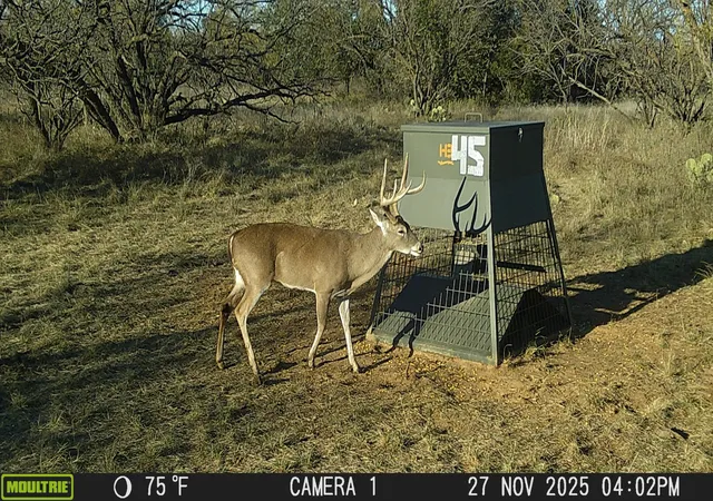 5th image of Tbd Tbd Cntty Rd 291, Moran, TX 76464 | MLS# 21228705