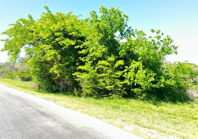 Homes for sale in Whitney, TX | 35044 Oak Wood Dr, Whitney, TX 76692 | MLS# 21228518