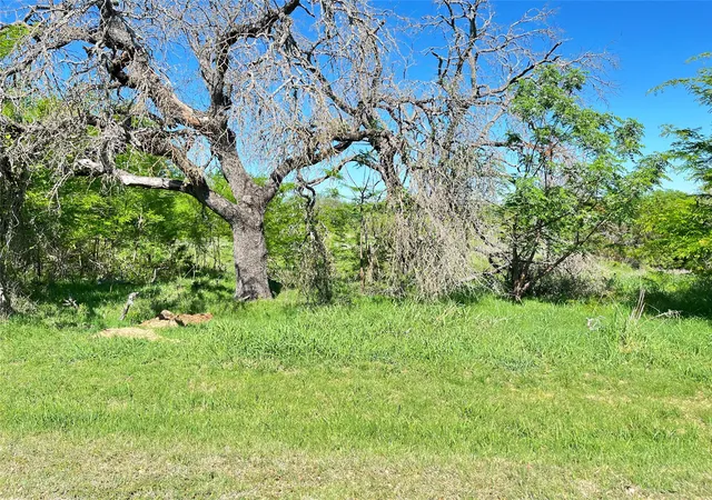 Homes for sale in Whitney, TX | 35044 Oak Wood Dr, Whitney, TX 76692 | MLS# 21228518