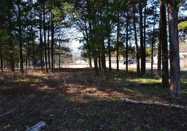 Photo 3 of Land for sale at 0000 Sweetgum Dr, Murchison, TX 75778 | MLS# 21229187 | Listing updated on 2026-07-09