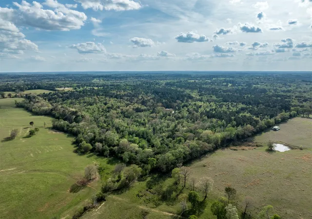 Homes for sale in Gilmer, TX | 0 White Tail Rd, Gilmer, TX 75644 | MLS# 21230389