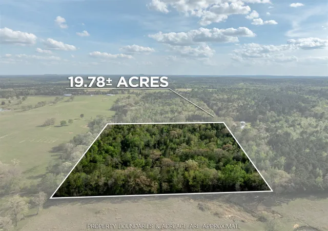 Homes for sale in Gilmer, TX | 0 White Tail Rd, Gilmer, TX 75644 | MLS# 21230389