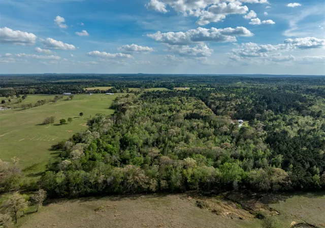 Homes for sale in Gilmer, TX | 0 White Tail Rd, Gilmer, TX 75644 | MLS# 21230389