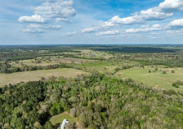 Homes for sale in Gilmer, TX | 0 White Tail Rd, Gilmer, TX 75644 | MLS# 21230389
