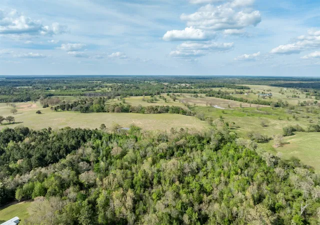 Homes for sale in Gilmer, TX | 0 White Tail Rd, Gilmer, TX 75644 | MLS# 21230389