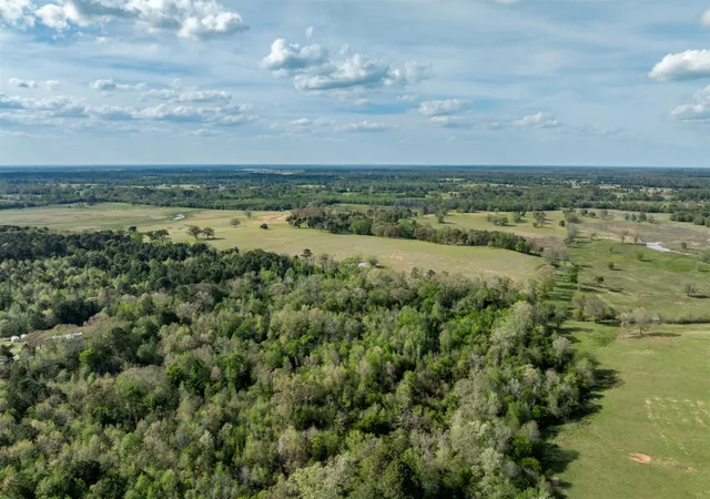 Homes for sale in Gilmer, TX | 0 White Tail Rd, Gilmer, TX 75644 | MLS# 21230389