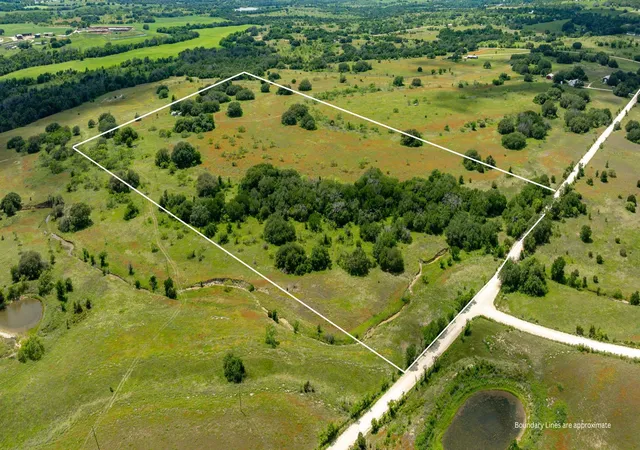 Photo 3 of Land for sale at Lot 2 County Road 277, Dublin, TX 76446 | MLS# 21225310 | Listing updated on 2026-09-30