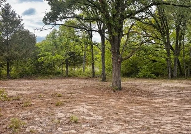 Photo 3 of Land for sale at 132 Prewitt St, Gun Barrel City, TX 75156 | MLS# 21225403 | Listing updated on 2026-07-22