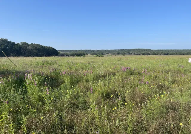Photo 1 of Land for sale at Lot 11 Fm 1690, Gatesville, TX 76528 | MLS# 21231064 | Listing updated on 2026-08-14