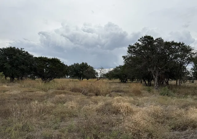 Photo 4 of Land for sale at Lot 11 Fm 1690, Gatesville, TX 76528 | MLS# 21231064 | Listing updated on 2026-08-14