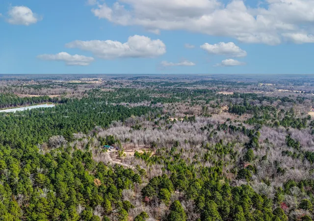 Homes for sale in Winnsboro, TX | 1462 Mole Rd, Winnsboro, TX 75494 | MLS# 21231170