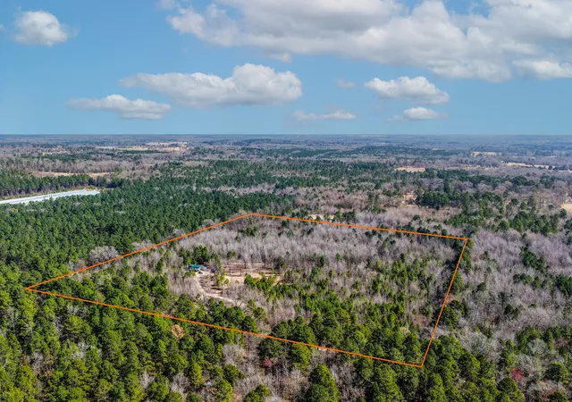 Homes for sale in Winnsboro, TX | 1462 Mole Rd, Winnsboro, TX 75494 | MLS# 21231170