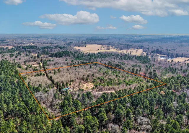 Homes for sale in Winnsboro, TX | 1462 Mole Rd, Winnsboro, TX 75494 | MLS# 21231170