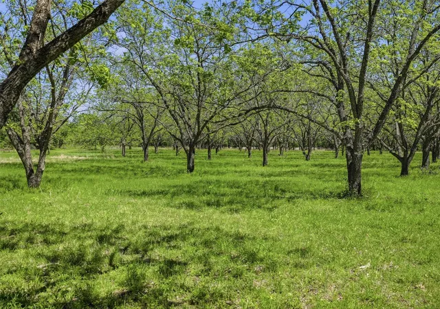 Photo 1 of Land for sale at 12011 Paradise Blvd, Bluff Dale, TX 76433 | MLS# 21230685 | Listing updated on 2026-08-31