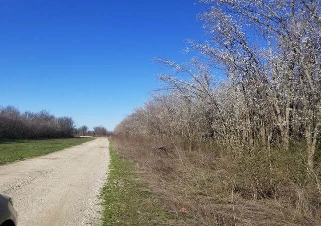 Photo 4 of Land for sale at Tbd Fm-697, Sherman, TX 75090 | MLS# 21231595 | Listing updated on 2026-08-18
