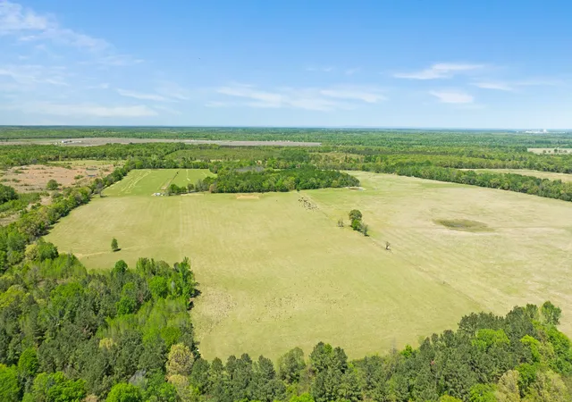 Homes for sale in Detroit, TX | 000 County Road 2356, Detroit, TX 75436 | MLS# 21231075