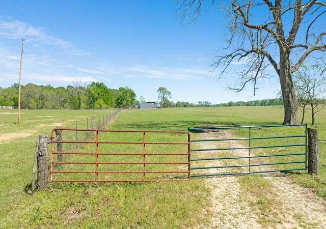 Homes for sale in Detroit, TX | 000 County Road 2356, Detroit, TX 75436 | MLS# 21231075