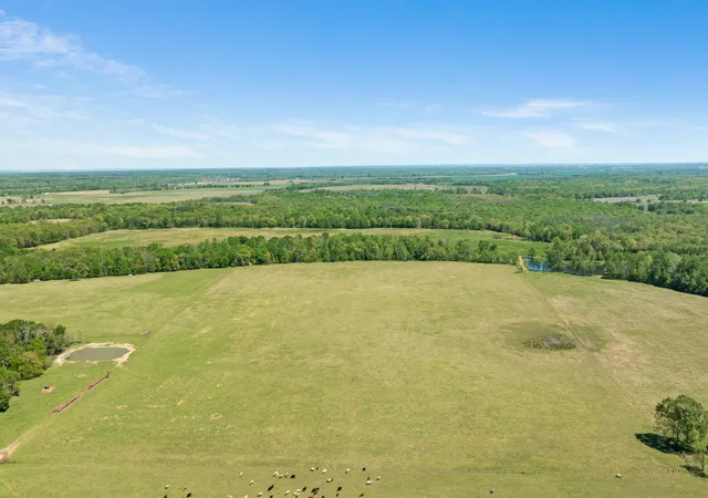 Homes for sale in Detroit, TX | 000 County Road 2356, Detroit, TX 75436 | MLS# 21231075