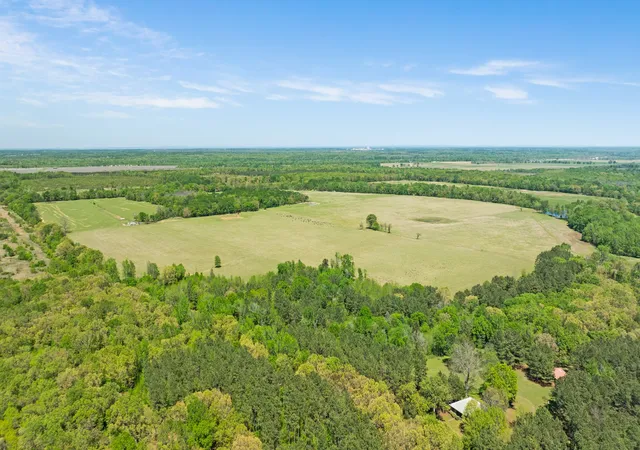 Homes for sale in Detroit, TX | 000 County Road 2356, Detroit, TX 75436 | MLS# 21231075