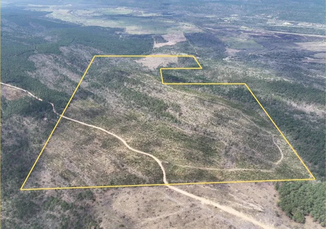 Homes for sale in Antlers, OK | 1 Off N4220, Antlers, OK 74523 | MLS# 21232409
