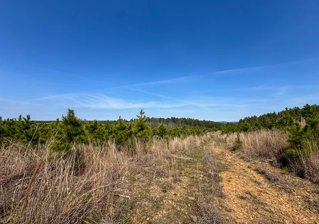 Homes for sale in Antlers, OK | 1 Off N4220, Antlers, OK 74523 | MLS# 21232409