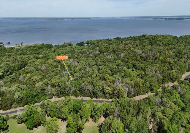 Homes for sale in Streetman, TX | Lot 133 Lincoln Dr, Streetman, TX 75859 | MLS# 21230365