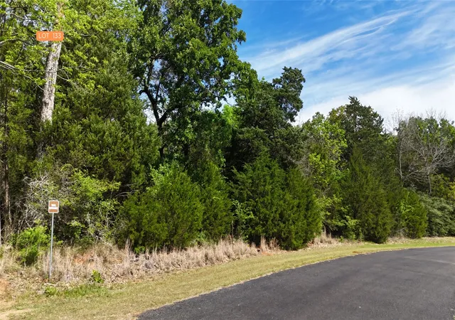 Homes for sale in Streetman, TX | Lot 133 Lincoln Dr, Streetman, TX 75859 | MLS# 21230365