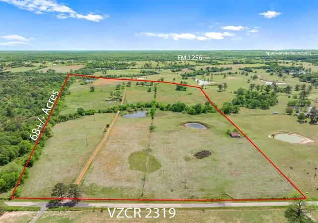 Photo 3 of Land for sale at 1421 Vz County Road 2319, Canton, TX 75103 | MLS# 21233217 | Listing updated on 2026-10-05