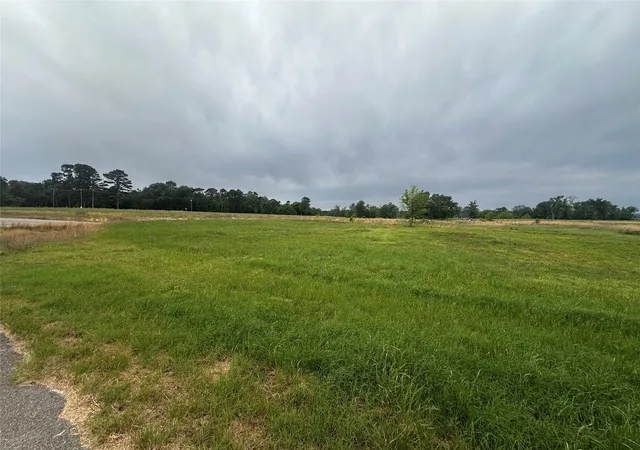 Homes for sale in Pittsburg, TX | Tbd Sunrise Bend, Pittsburg, TX 75686 | MLS# 21233062