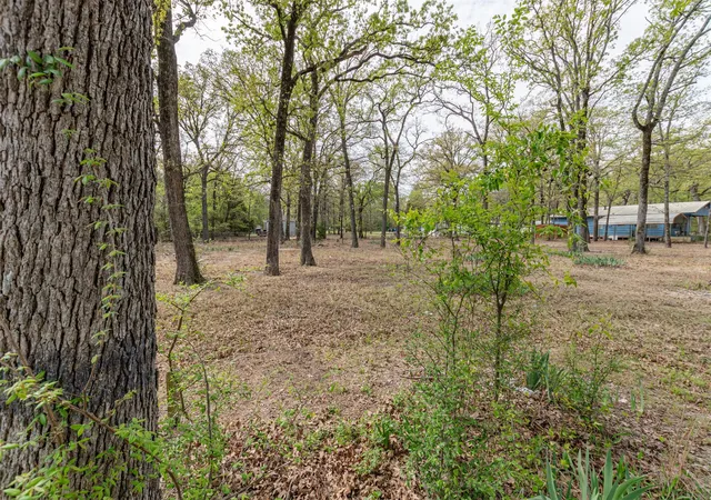 Homes for sale in Log Cabin, TX | 13995 E Travis Ln, Log Cabin, TX 75148 | MLS# 21233620