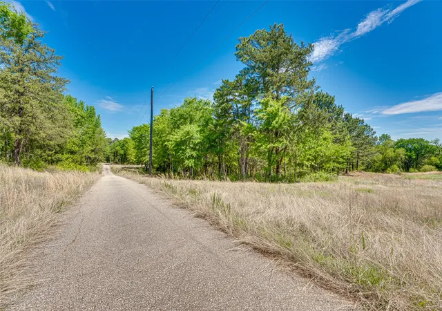 Photo 4 of Land for sale at 11088 County Road 334, Tyler, TX 75708 | MLS# 21225292 | Listing updated on 2026-10-05