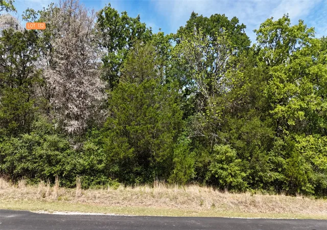 Homes for sale in Streetman, TX | Lot 132 Lincoln Dr, Streetman, TX 75859 | MLS# 21230420