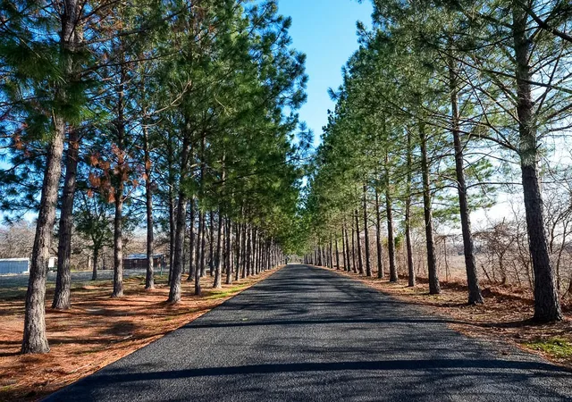 Homes for sale in Streetman, TX | Lot 132 Lincoln Dr, Streetman, TX 75859 | MLS# 21230420