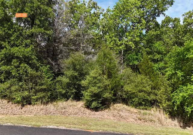 Homes for sale in Streetman, TX | Lot 132 Lincoln Dr, Streetman, TX 75859 | MLS# 21230420