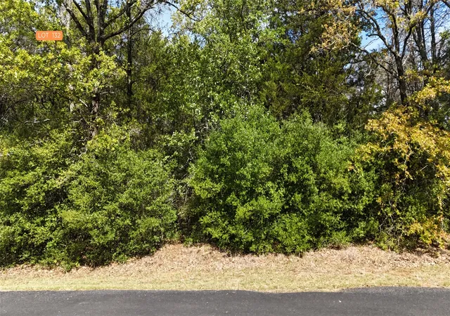 Homes for sale in Streetman, TX | Lot 132 Lincoln Dr, Streetman, TX 75859 | MLS# 21230420