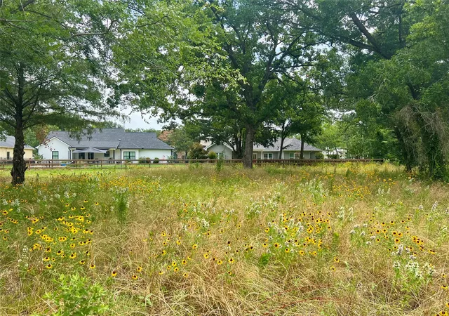 Photo 3 of Land for sale at 711 Clubview Dr, Kemp, TX 75143 | MLS# 21234110 | Listing updated on 2026-09-18