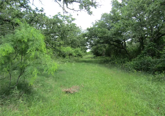 Homes for sale in Rising Star, TX | Tbd County Road 268, Tract A, Rising Star, TX 76471 | MLS# 21234427