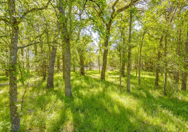 Homes for sale in Jacksboro, TX | Tbd Teague Rd, Jacksboro, TX 76458 | MLS# 21233029