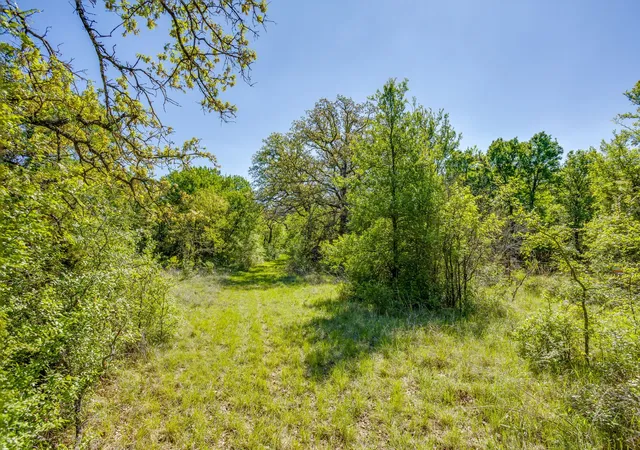 Homes for sale in Jacksboro, TX | Tbd Teague Rd, Jacksboro, TX 76458 | MLS# 21233029