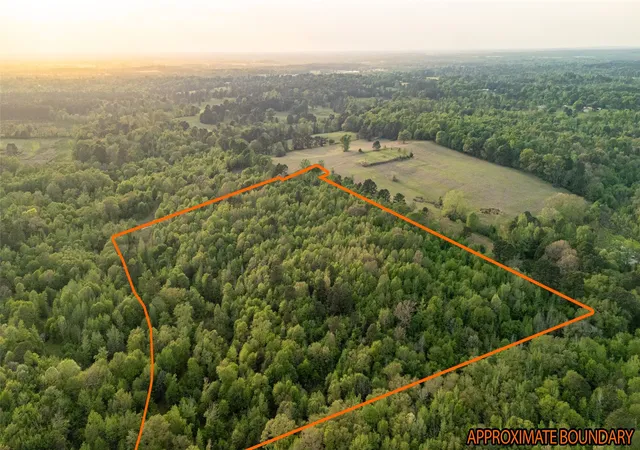 Homes for sale in Overton, TX | 000 Fm 838, Overton, TX 75684 | MLS# 21235300