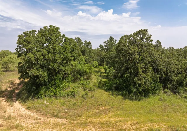 Homes for sale in Rising Star, TX | Tbd County Road 268 Tract B, Rising Star, TX 76471 | MLS# 21234658