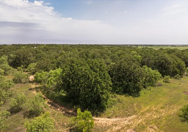 Homes for sale in Rising Star, TX | Tbd County Road 268 Tract B, Rising Star, TX 76471 | MLS# 21234658