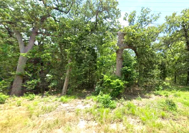 Homes for sale in Malakoff, TX | 0 Goliad Dr, Malakoff, TX 75148 | MLS# 21236235