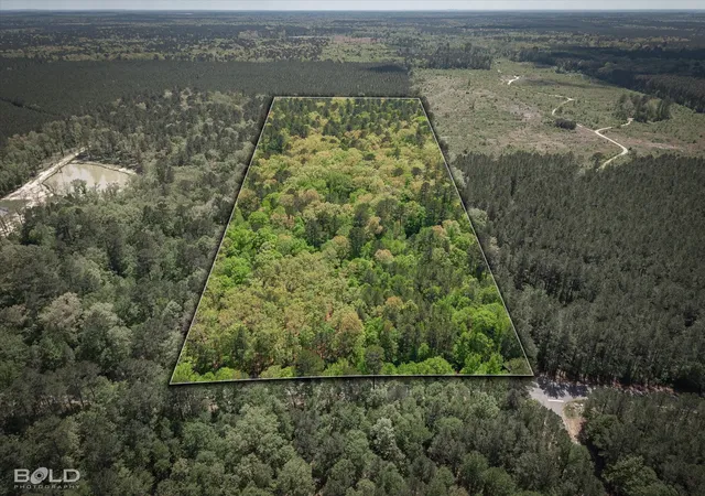 Photo 2 of Land for sale at 00 Hwy 160, Benton, LA 71006 | MLS# 21236287 | Listing updated on 2026-09-19