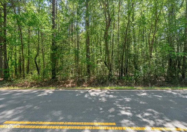 Photo 3 of Land for sale at 00 Hwy 160, Benton, LA 71006 | MLS# 21236287 | Listing updated on 2026-09-19
